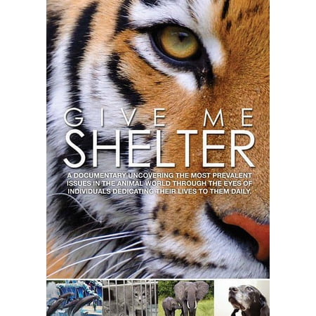 Virgil Films - Give Me Shelter [DIGITAL VIDEO DISC]