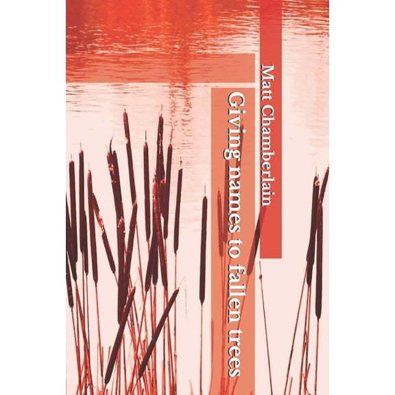 Giving names to fallen trees (Paperback)