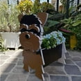 thumbnail image 1 of Giyblacko Flower Pots 1PCS Garden Flower Pot Dog Poodle Chihuahua Animal Planters Flower Pot Dog Planter Storage Containers Dog Planters Garden Pet Dog Storage Pots Decorative Ornaments Animal Shaped, 1 of 4