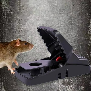 1111Fourone Mousetrap Pest Control ABS Plastic Mouse Catcher Sawtooth Jaw  Snap Mousetrap, Mouse Head 