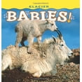 thumbnail image 1 of Pre-Owned Glacier Babies! (Board book) 1560374985 9781560374985, 1 of 1