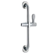 Glacier Bay 18 In Grab Bar with Handshower Holder