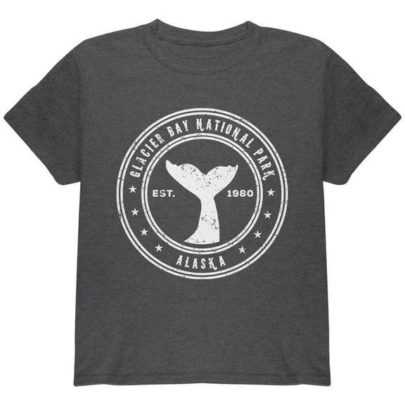 Glacier Bay National Park Youth T Shirt Dark Heather YXL