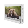 thumbnail image 1 of Glacier National Park, Grizzly Bear with Tongue Out (19x27 inches, Premium 500 Piece Jigsaw Puzzle for Adults and Family, Made in USA), 1 of 4