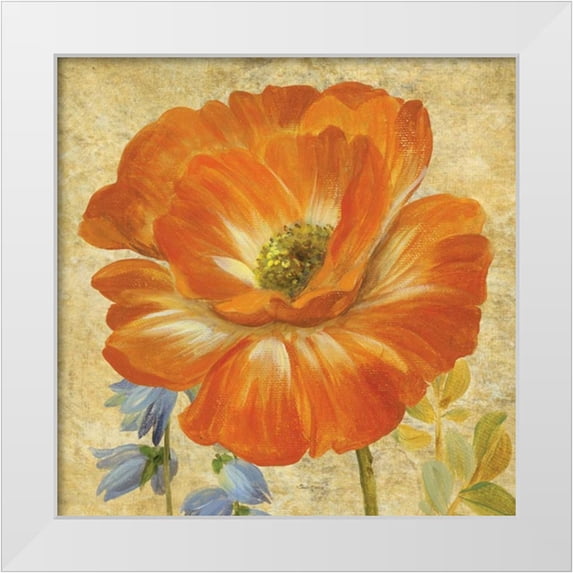 Gladding, Pamela 12x12 White Modern Wood Framed Museum Art Print Titled - Primavera II