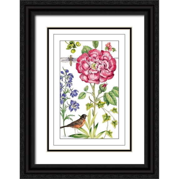 Gladding, Pamela 17x24 Black Ornate Wood Framed with Double Matting Museum Art Print Titled - Print Botanical IV