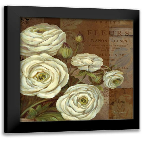 Gladding, Pamela 20x20 Black Modern Framed Museum Art Print Titled - Patina Ranunculus