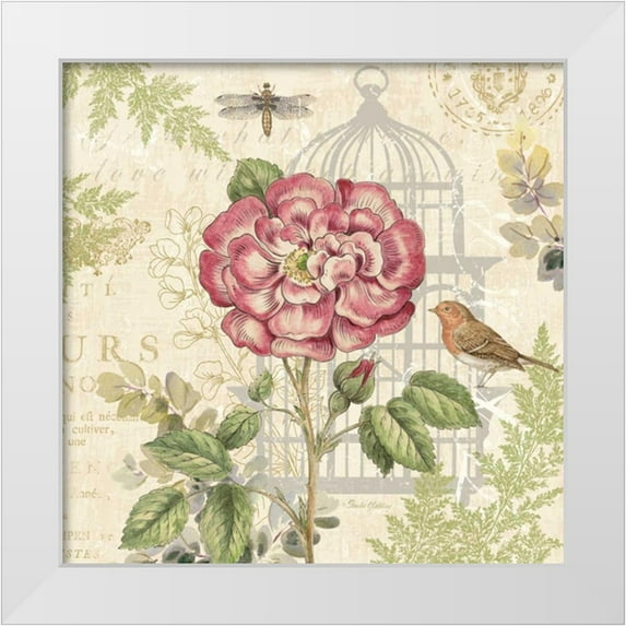 Gladding, Pamela 20x20 White Modern Wood Framed Museum Art Print Titled - Floral Nature Trail IV