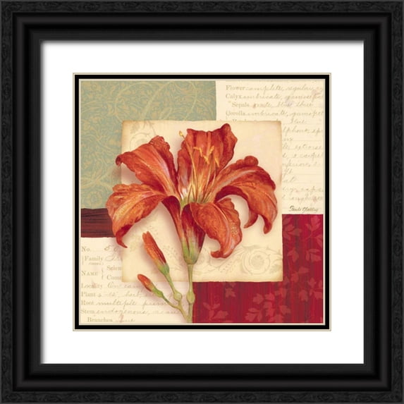 Gladding, Pamela 26x26 Black Ornate Wood Framed with Double Matting Museum Art Print Titled - Bella Donna II
