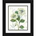thumbnail image 1 of Gladding, Pamela 26x32 Black Ornate Wood Framed with Double Matting Museum Art Print Titled - Lace Hydrangea, 1 of 4