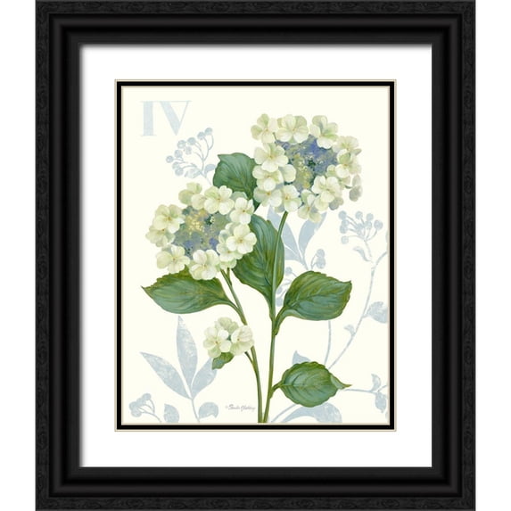 Gladding, Pamela 26x32 Black Ornate Wood Framed with Double Matting Museum Art Print Titled - Lace Hydrangea