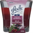 thumbnail image 1 of Glade 2-in-1 Fresh Berries & Wild Raspberry Scented Jar Candle, 4 Oz., 1 of 1