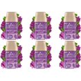 thumbnail image 1 of Glade Automatic Spray Refill, Air Freshener for Home and Bathroom, Happy-Go-Lilac, 6.2 Oz, 6 Count, 1 of 9