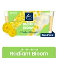 thumbnail image 1 of Glade Candles, Radiant Bloom Limited Edition, Fragrance Infused with Essential Oils, 8.16 oz Total, 2 Pack, 1 of 12