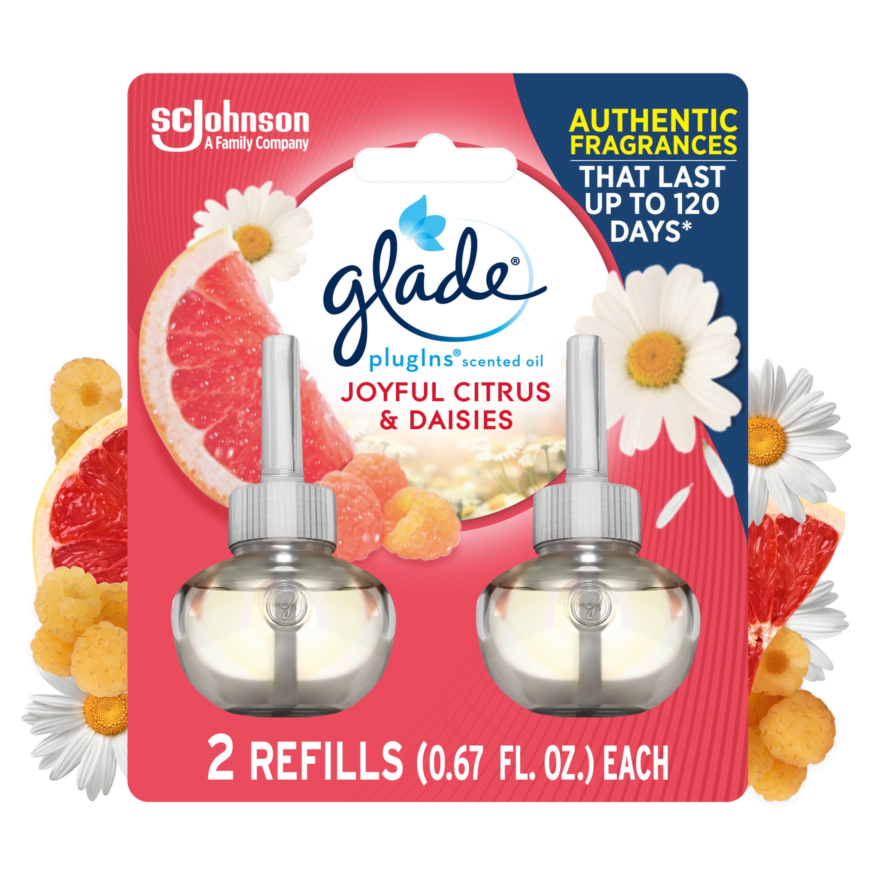 Joyful Citrus & Daisies