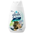 Glade Solid Air Freshener, Pet Fresh Scent, 6 oz
