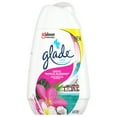 thumbnail image 1 of Glade Solid Gel Cone, Exotic Tropical Blossoms, Solid Gel Air Freshener, 6 OZ, 1 of 13