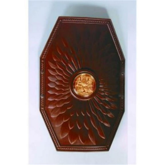 Gladiator Costume Shield