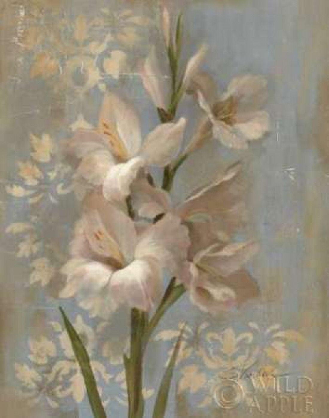 Gladiola on Soft Blue - Original Canvas Art - Silvia Vassileva (22 x 28)