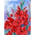 thumbnail image 1 of Gladioli Flag Garden Size, 1 of 1