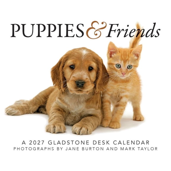 Gladstone, Puppies and Friends 2027 Desk Calendar