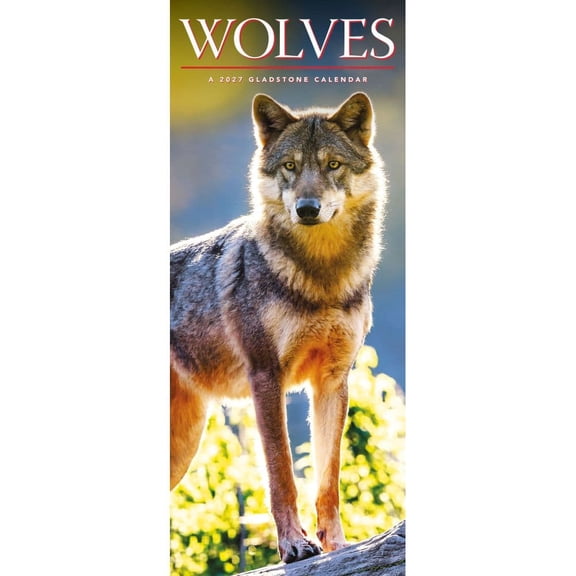 Gladstone, Wolves 2027 Vertical Wall Calendar