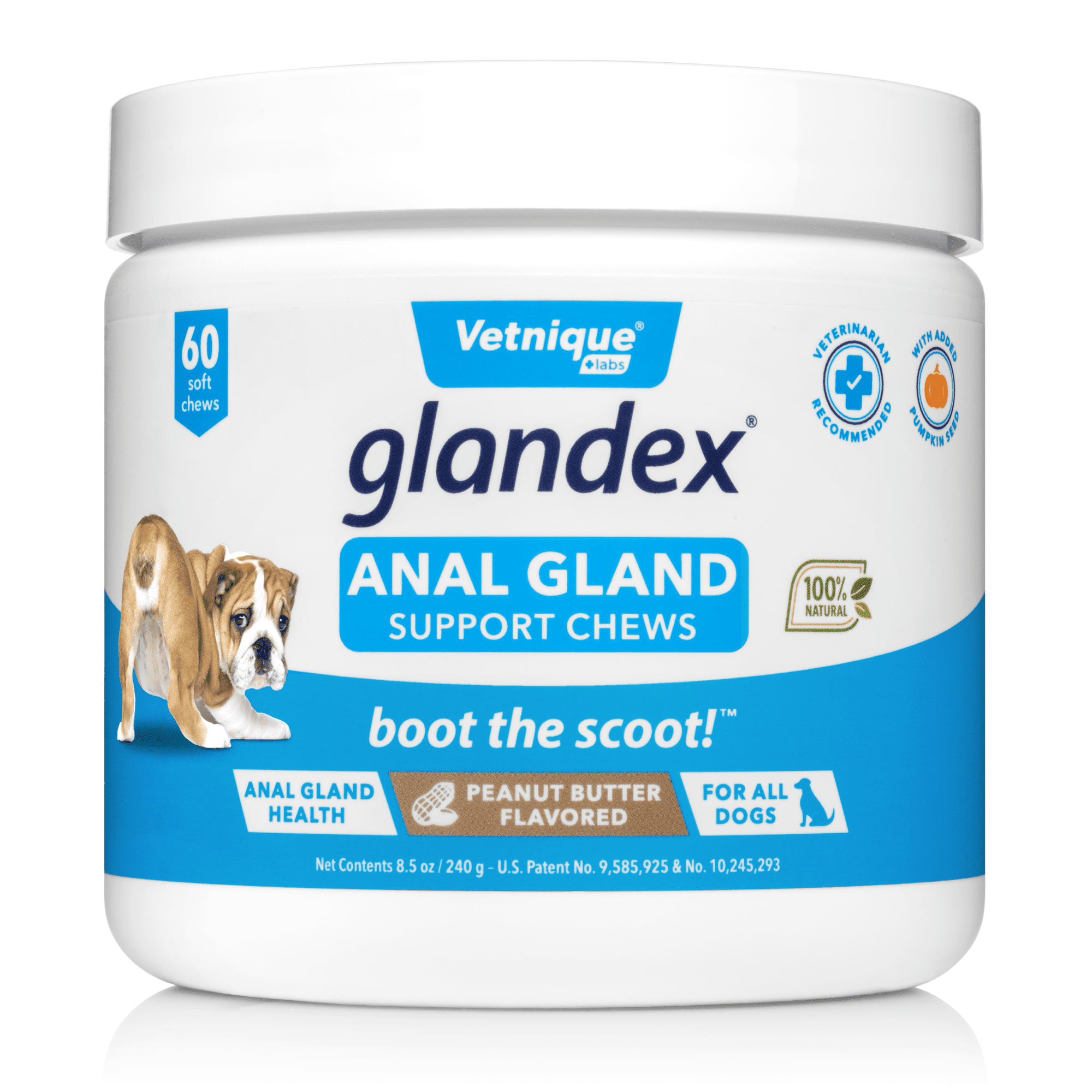 Glandex Anal Gland Soft Chew Treats with Pumpkin for Dogs with Digestive Enzymes, Probiotics Fiber Supplement for Dogs - 60ct Peanut Butter Chews