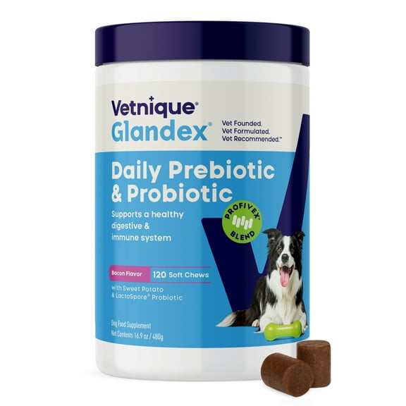 Vetnique Glandex Daily Prebiotic & Probiotic for Dogs, Gut & Immune Support Chews, 120ct