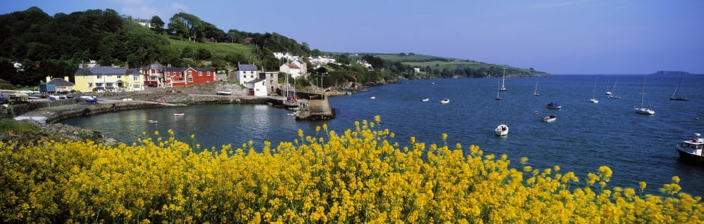 Glandore Village & Harbour Co Cork Ireland Canvas Art - The Irish Image Collection  Design Pics (44 x 14)