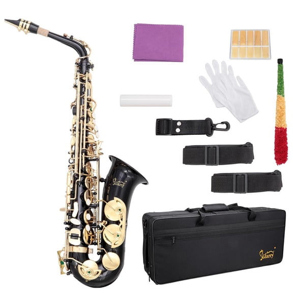 Glarry Adult Eb Alto Saxophone Kit w/ 11 Reeds Case Accessories for Student