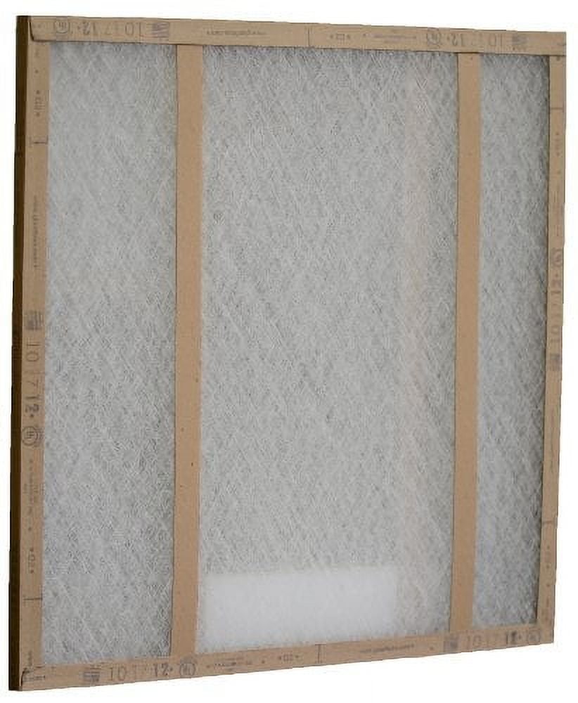 Glasfloss Industries GDS10201 GDS Series Double Strut Disposable Panel Air Filter, 12-Case
