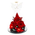thumbnail image 1 of Glass Angel Roses Gifts for Women, Roses in Clear Glass Dome, Valentines's Day Rose Gift for Wife, Christmas Birthday Gifts for Grandma Mom Wife, 1 of 5