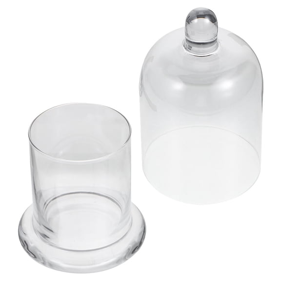 NIAIZEK Clear Glass Dome for Plants and Flower Display, 1 Piece, Decorative Terrarium Cloche for Home and Garden