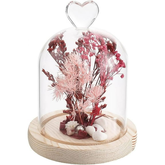 Glass Bell Jar Dome 113x150mm Decorative Mini Cloche Dome with Wood Base Glass Cloche Dome Small Glass Domes Heart Clear Glass Bell Dome for Wedding Home Plants Christmas Party Favor Decor diy