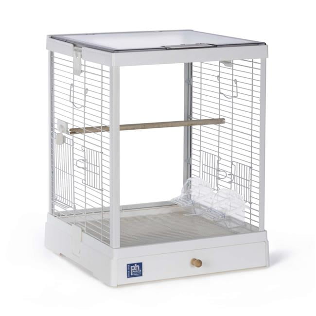 Glass Bird Cage, White - Walmart.com