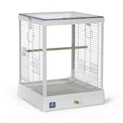 Glass Bird Cage, White