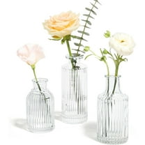 Glass Bud Vases Set of 3, Small Flower Vases in Bulk, Mini Ribbed Vases for Centerpieces, Clear Vintage Vase for Table Decorations, Wedding, Party, Receptions, Home Decor (Different Sizes)