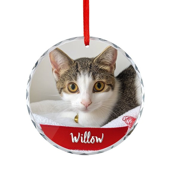 Glass Christmas Ornament Personalized Cat Holiday Ornaments Cat Gifts Xmas Tree Decor for Kids Mom Dad Friends Loves