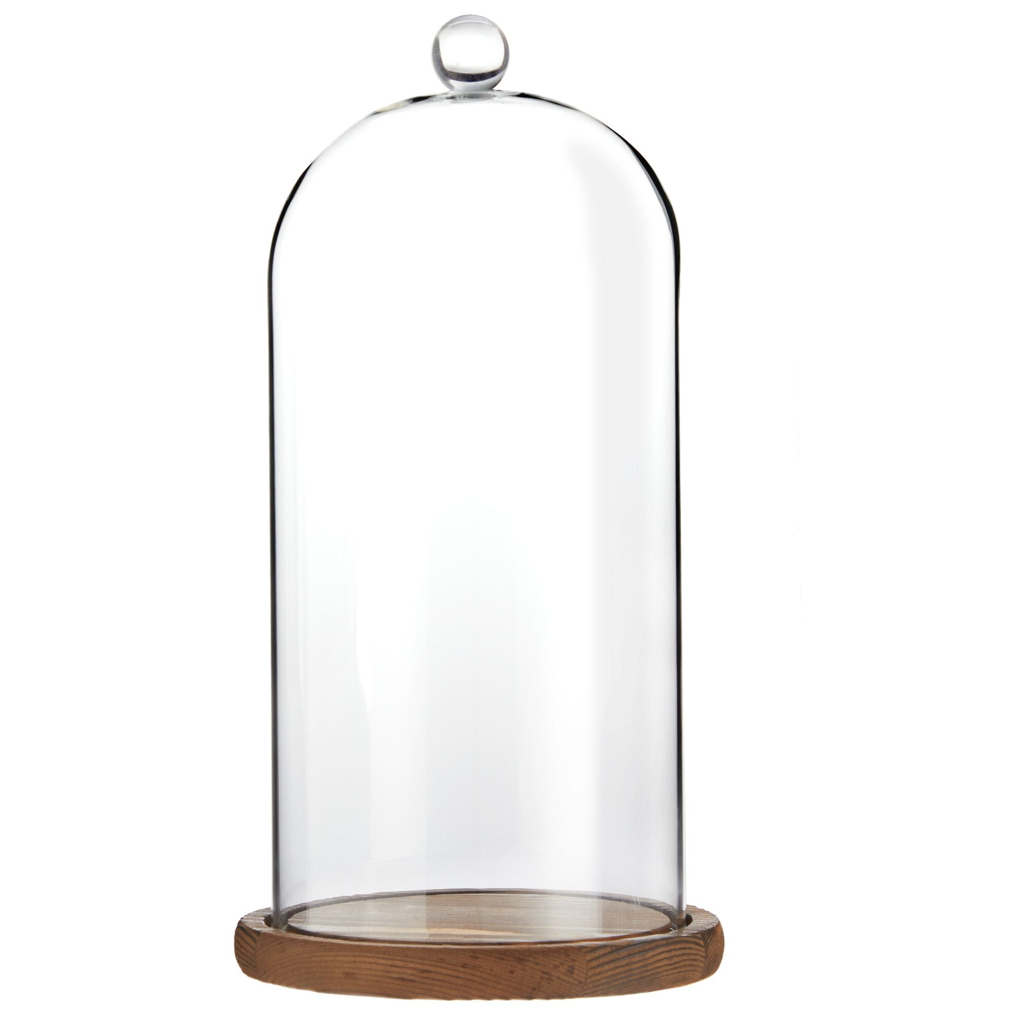 Clear Glass Cloche Dome with Wooden Base, 11 Inches