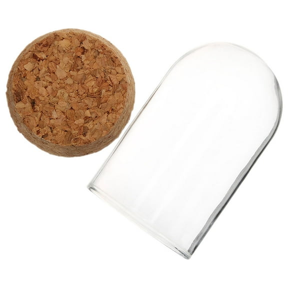 Glass Cover Flower Craft Desktop Decor Tabletop Cloche Bell Jar Dome Domes for Display