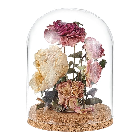 Glass Display Dome Cloche 4.9x6.5 inch Glass Bell Jar with Cork Base Glass Bottles Decorative JarsDIY