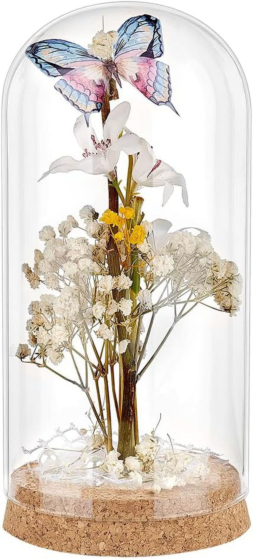 Glass Display Dome Cloche 7.3x3.5inch Glass Bell Jar with Cork Small Glass Bottles Dome Decorative Jars Cloche Display Case for Flower Storage Home Christmas Party Favor Decoration