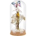 thumbnail image 1 of Glass Display Dome Cloche 7.3x3.5inch Glass Bell Jar with Cork Small Glass Bottles Dome Decorative Jars Cloche Display Case for Flower Storage Home Christmas Party Favor Decoration, 1 of 6