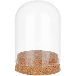Shop Glass Cloche Domes for Home Decor