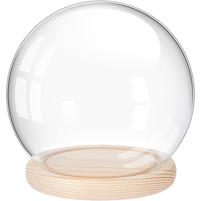 Glass Display Dome Cloche with Wood Base Decorative Clear Glass Cloche
