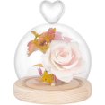 thumbnail image 1 of Glass Display Dome Cloche with Wood Base Heart Glass Dome Cover Decorative Jars Display Case Cloche Bell Jar Terrarium for Flower Storage Home Christmas Party Favor Decoration, 1 of 9