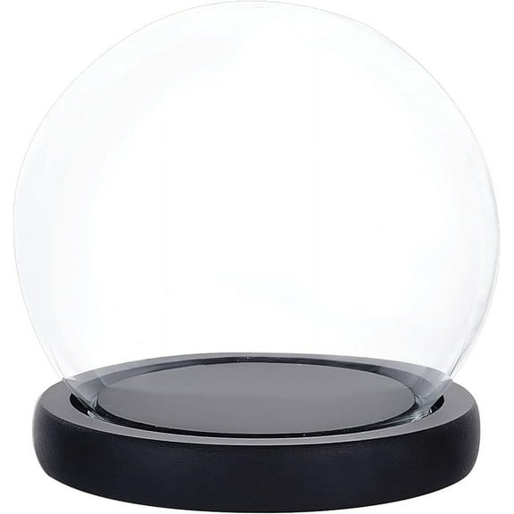 Glass Display Dome Cloche with Black Wood Base Decorative Display Dome Case Globe