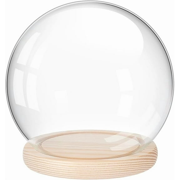 Glass Display Dome Cloche with Wood Base Decorative Clear Glass Cloche Bell Jar Decorative Showcase Display