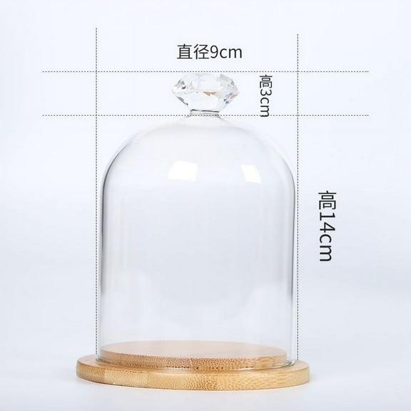 Glass Display Dome Model Keepsake Display Holder Table Decorative Case Doll Storage Dome with Base