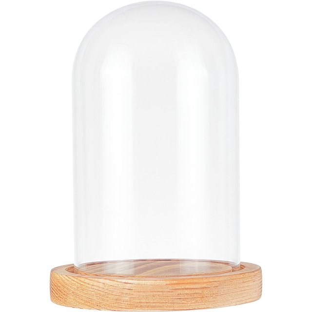 Glass Display Dome with Solid Wood Base Clear Display Case for Item